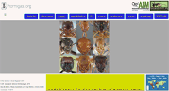 Desktop Screenshot of hormigas.org