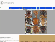Tablet Screenshot of hormigas.org